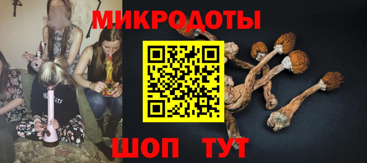 Коммунар  Галлюциногенные грибы GOLDEN TEACHER  Вход с VPN 